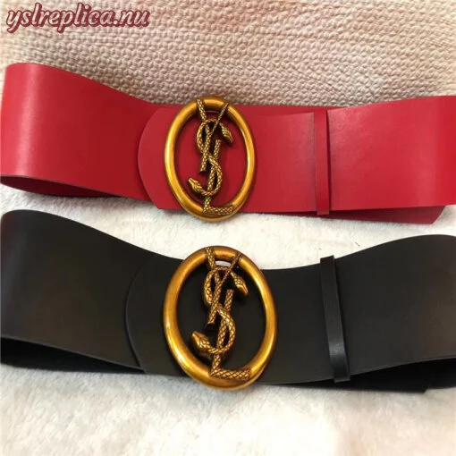 Fake YSL Yves Saint Laurent YSL AAA Quality Belt For Women #676308 2