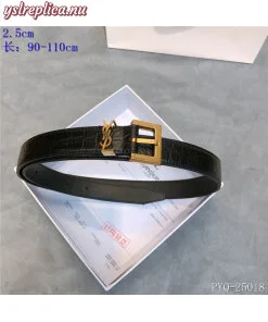 Fake YSL Yves Saint Laurent AAA Belt For Women #738776